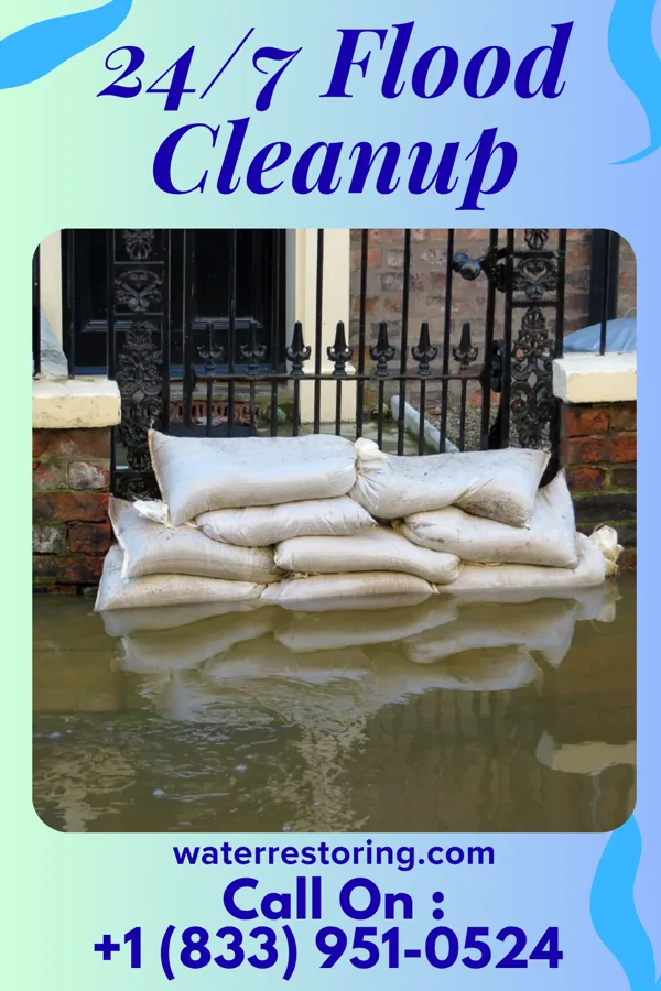 24/7 Flood Cleanup in Tri-Lakes, IN