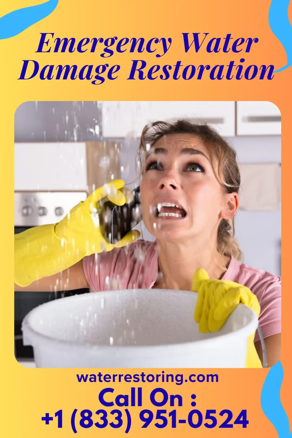 Emergency Water Damage Restoration in Tri-Lakes, IN