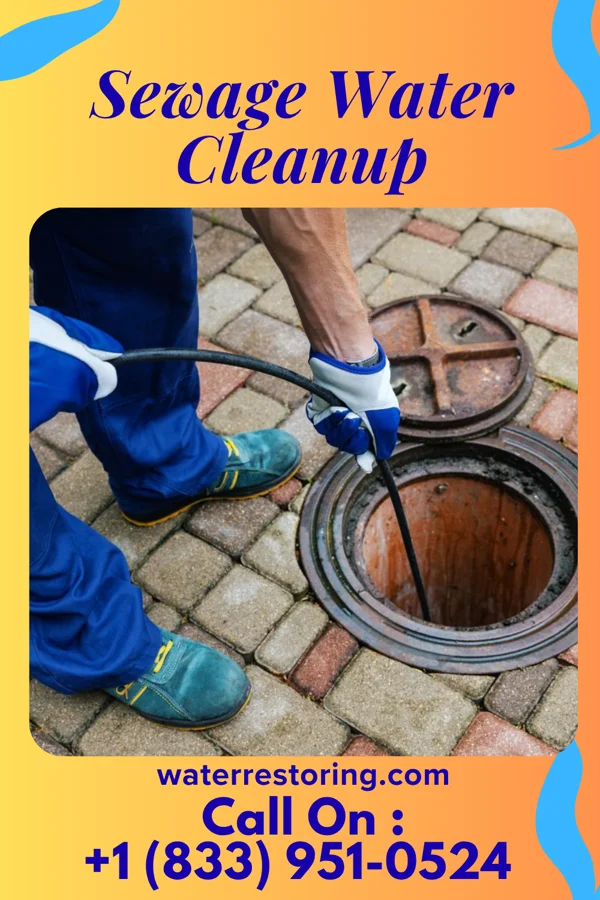 Sewage Water Cleanup in Tri-Lakes, IN